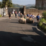 serrone 2014 (11)